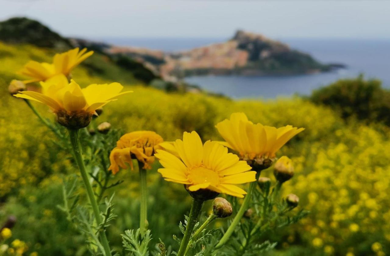 Belvedere Castelsardo